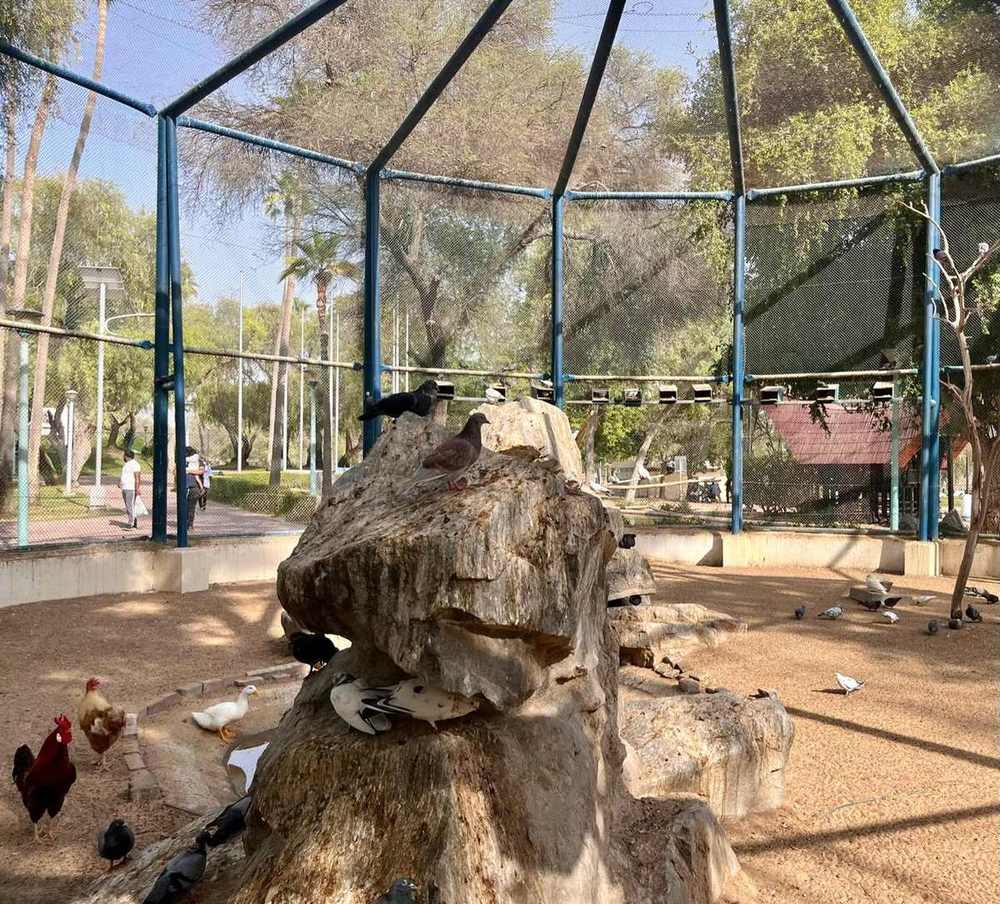 Mushrif Park — Bird enclosure in Mushrif Park.jpg