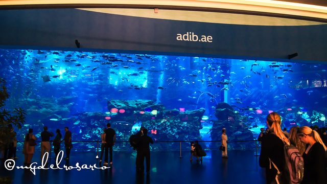 National Aquarium