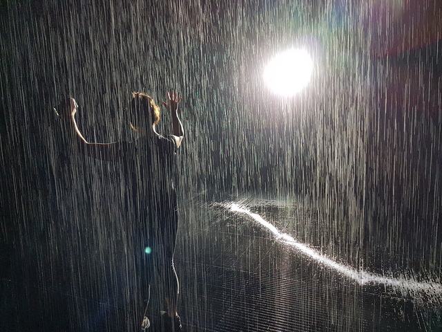 Rain Room