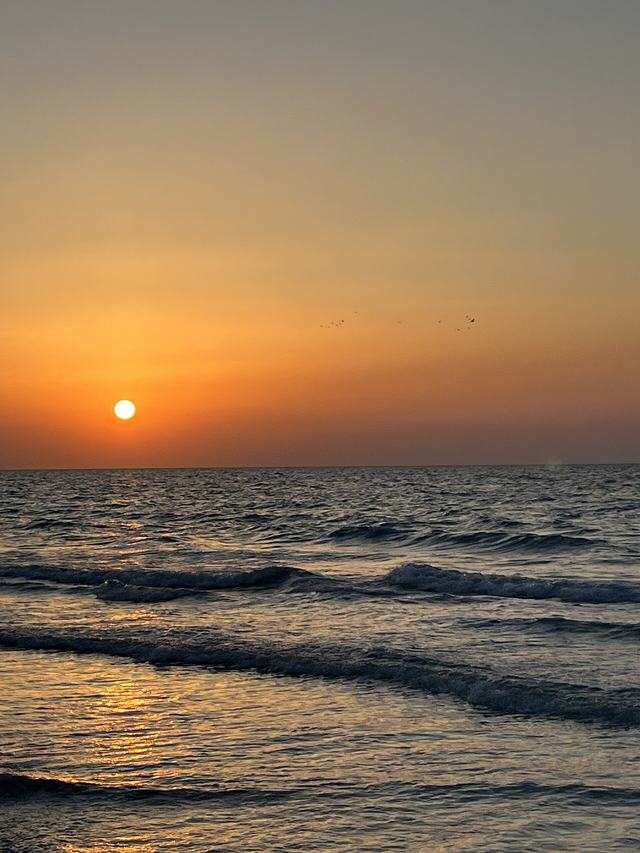 Saadiyat Beach Club