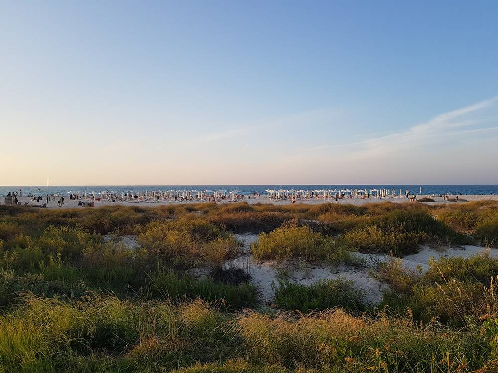 Saadiyat Public Beach — Saadiyat Beach.jpg