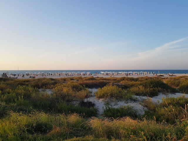 Saadiyat Rotana Resort & Villas