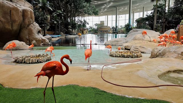 SeaWorld Abu Dhabi