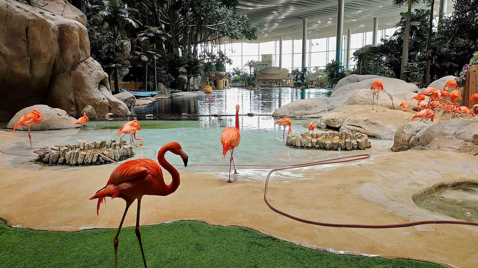 SeaWorld Abu Dhabi — Sea world yas island.jpg