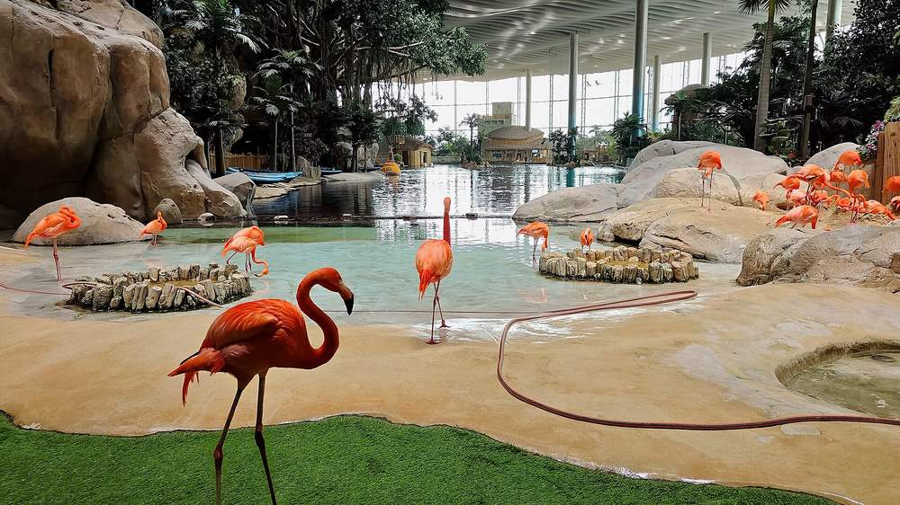 SeaWorld Abu Dhabi — Sea world yas island.jpg