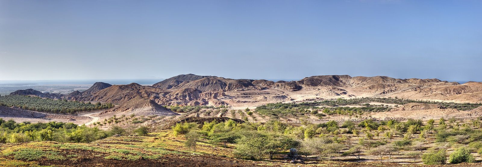 Sir Bani Yas — Sir Bani Yas Island Panorama.jpg