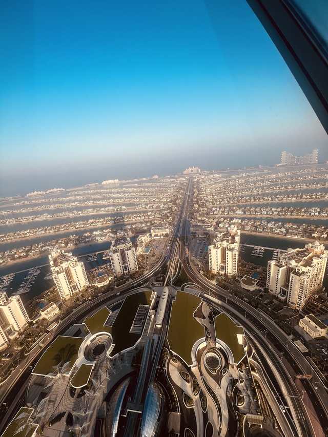 The View at The Palm