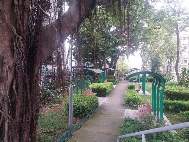 Triangular Park