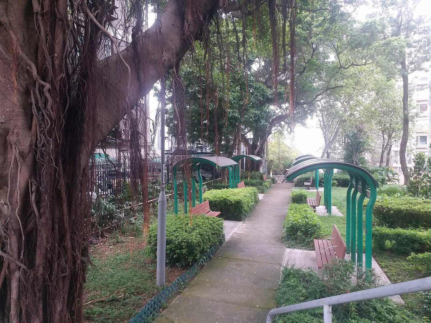 Triangular Park — Beacon Hill Triangular Park.jpg