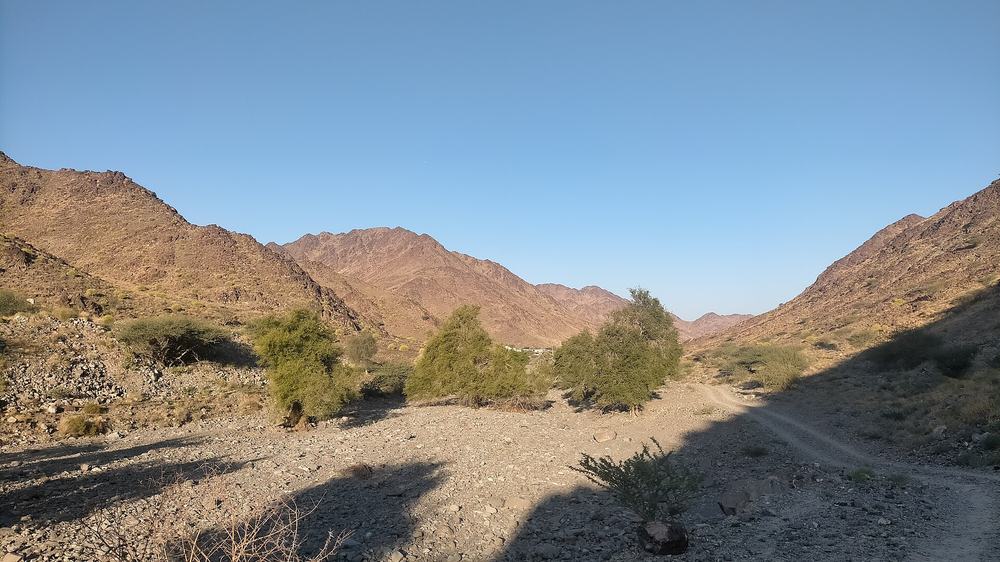 Wadi Al Ejili — Wadi Al Ejili - Emirate of Ras Al Khaimah - 2.jpg