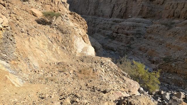 Wadi Al Hayilah