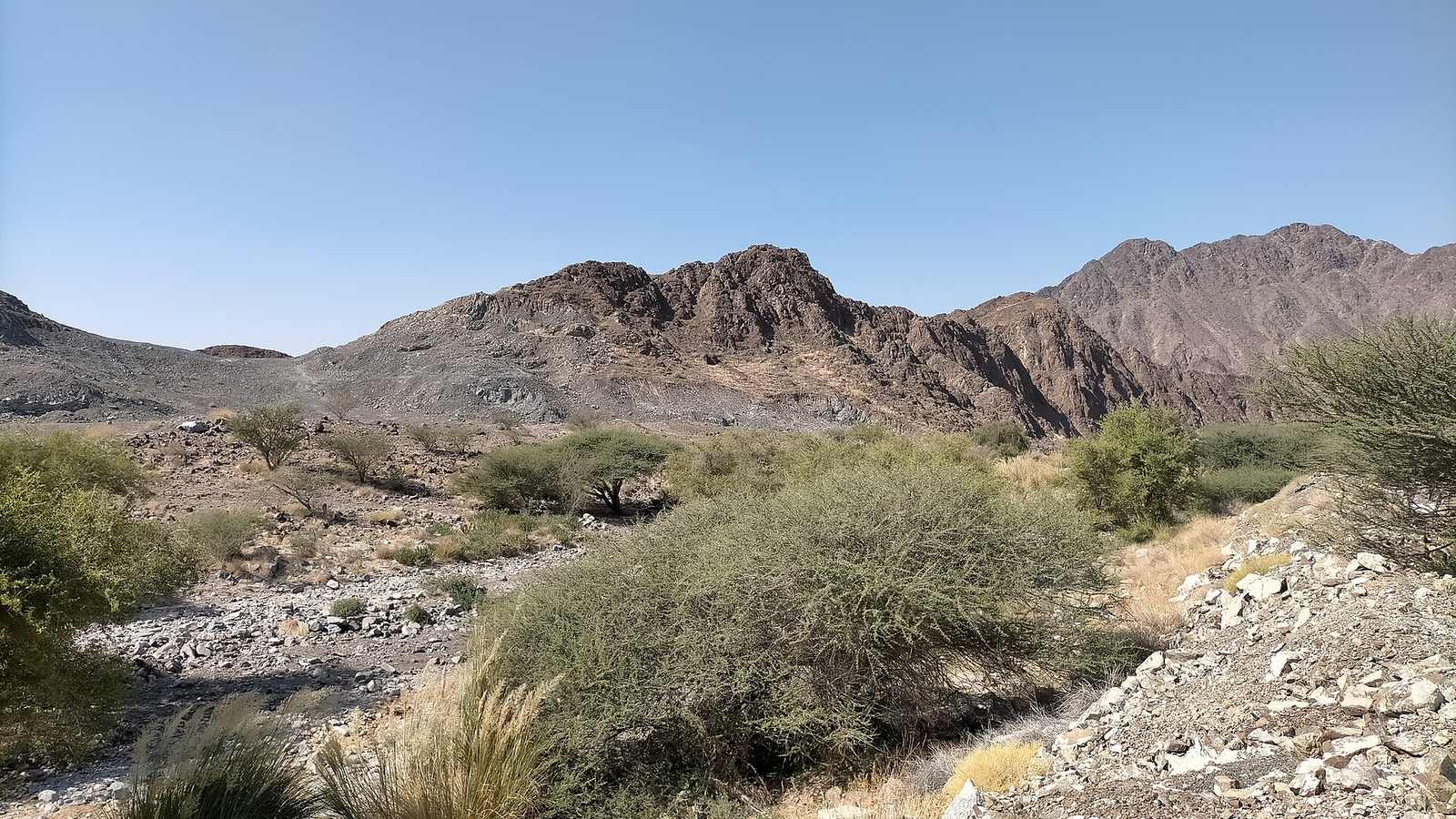 Wadi Al Layyat — Wadi Al Layyat, once a beautiful wadi - now badly damaged by large quarrying activity - 2.jpg