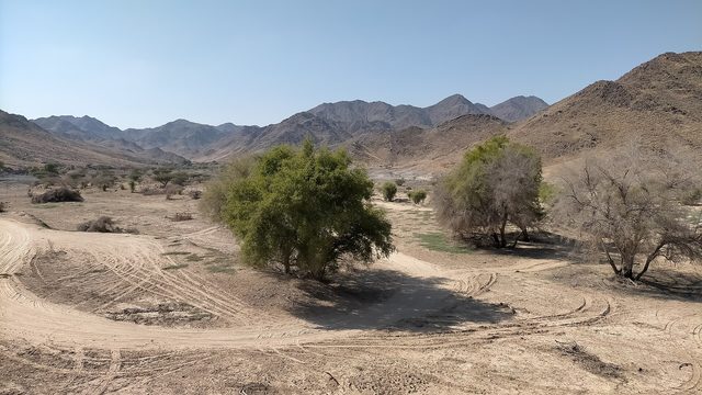 Wadi Al Munay