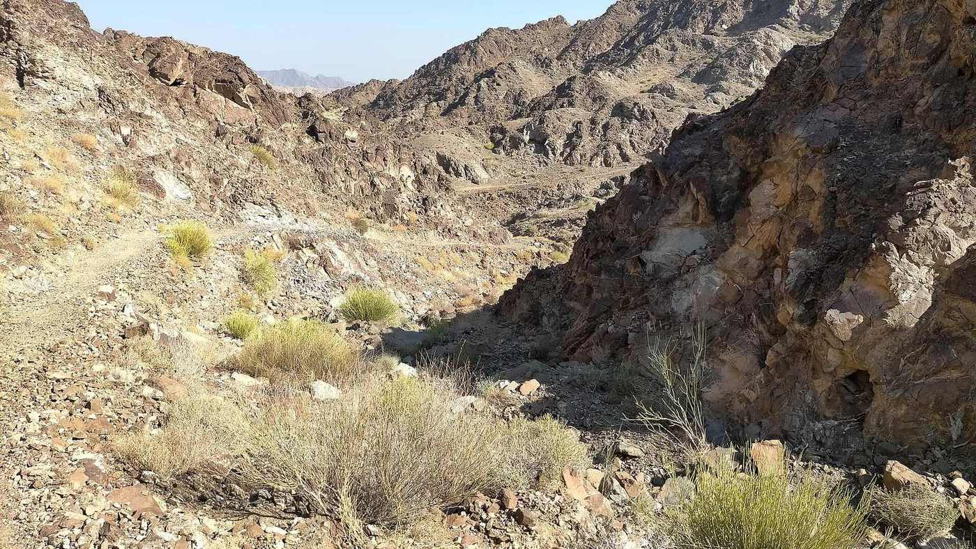 Wadi Al Mustab — Wadi Al Mestib- Tributary of Wadi Hadf - Masfut, Ajman, UAE.jpg