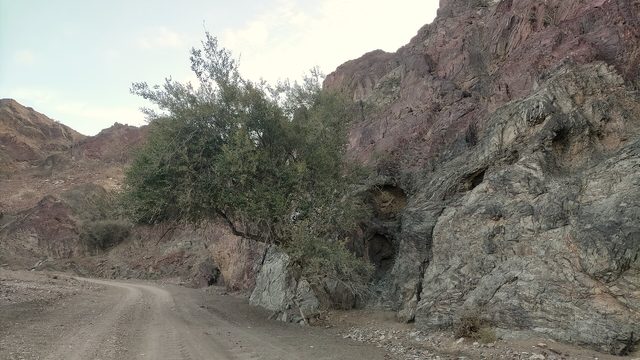 Wadi Al Yanhah