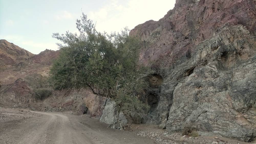 Wadi Al Yanhah — Wadi Yanhah, tributary of Wadi Kub - 1.jpg