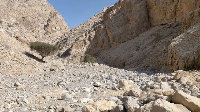 Wadi Baqal