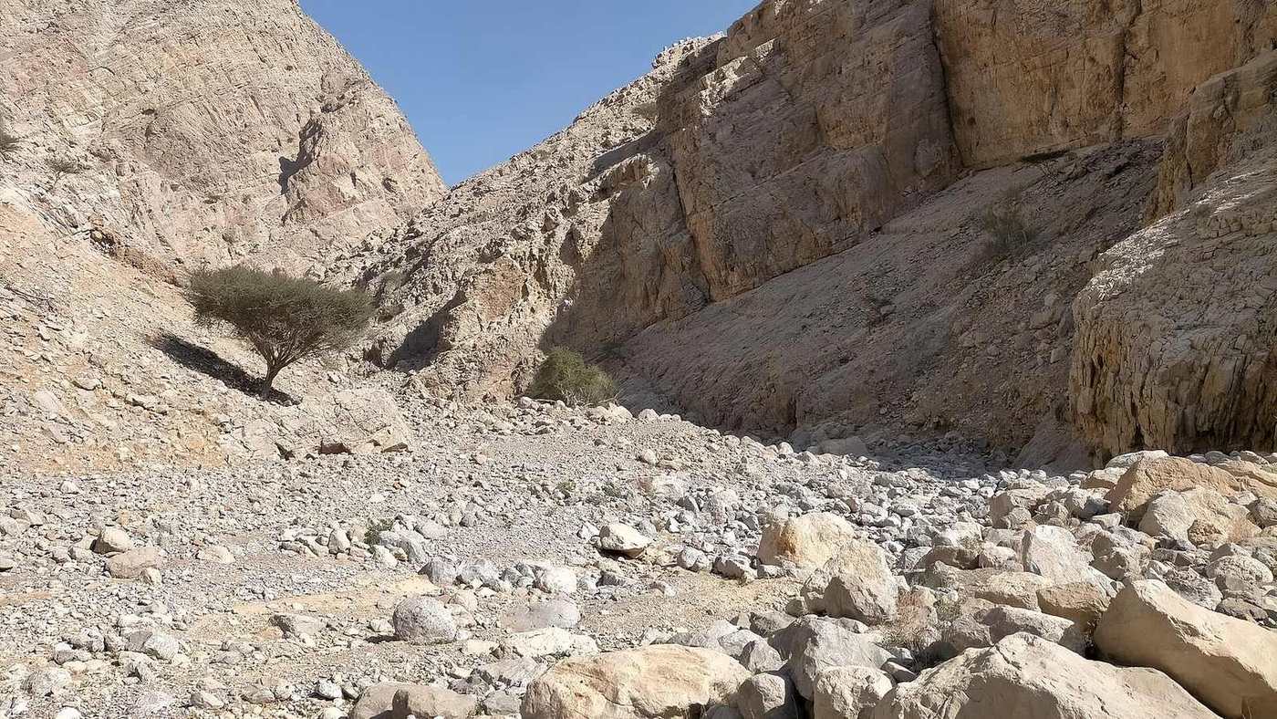 Wadi Baqal — Section of the Wadi Baqal, a tributary of the Wadi Nahela, free of large rocks.jpg