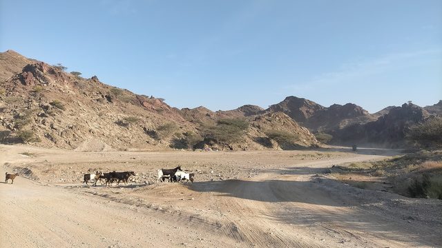 Wadi Kub