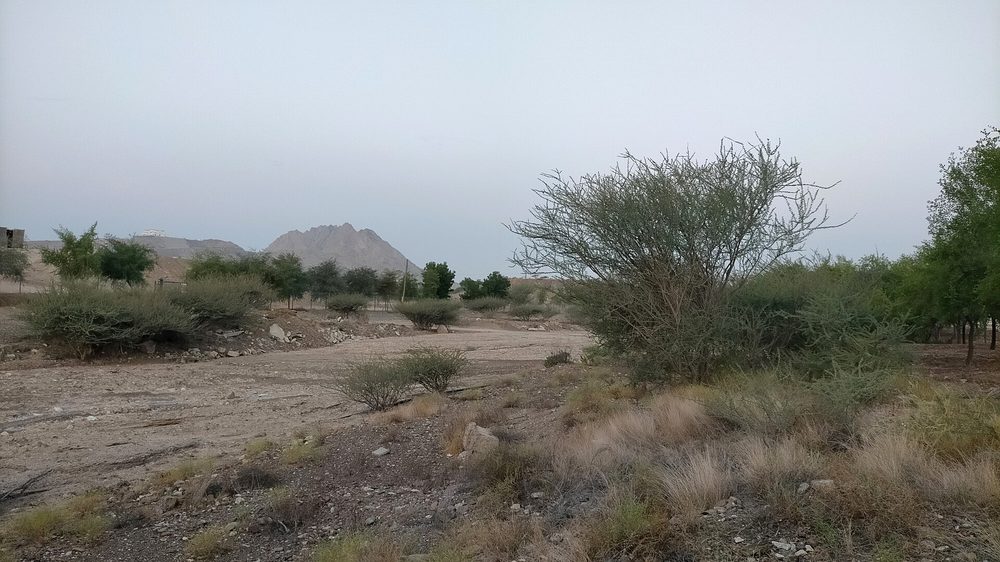 Wadi Laim — Wadi Laim, tributary of Wadi Hadf, in Hatta, Dubai.jpg