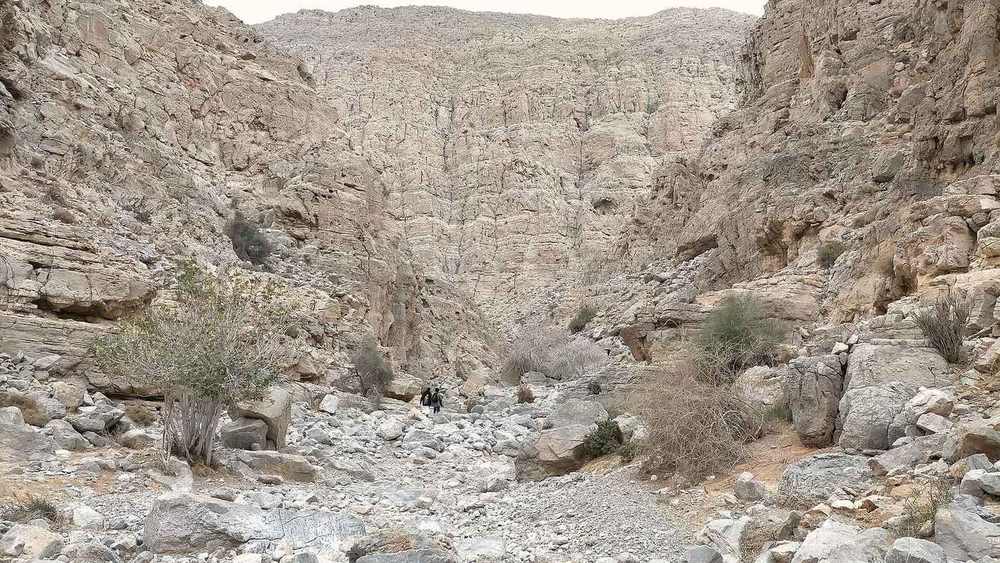 Wadi Madnan — Deep canyon of Wadi Madnan - 1.jpg