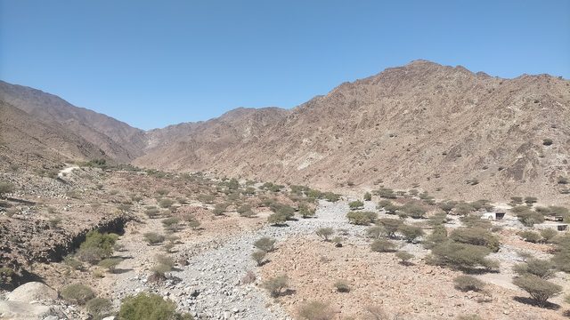 Wadi May