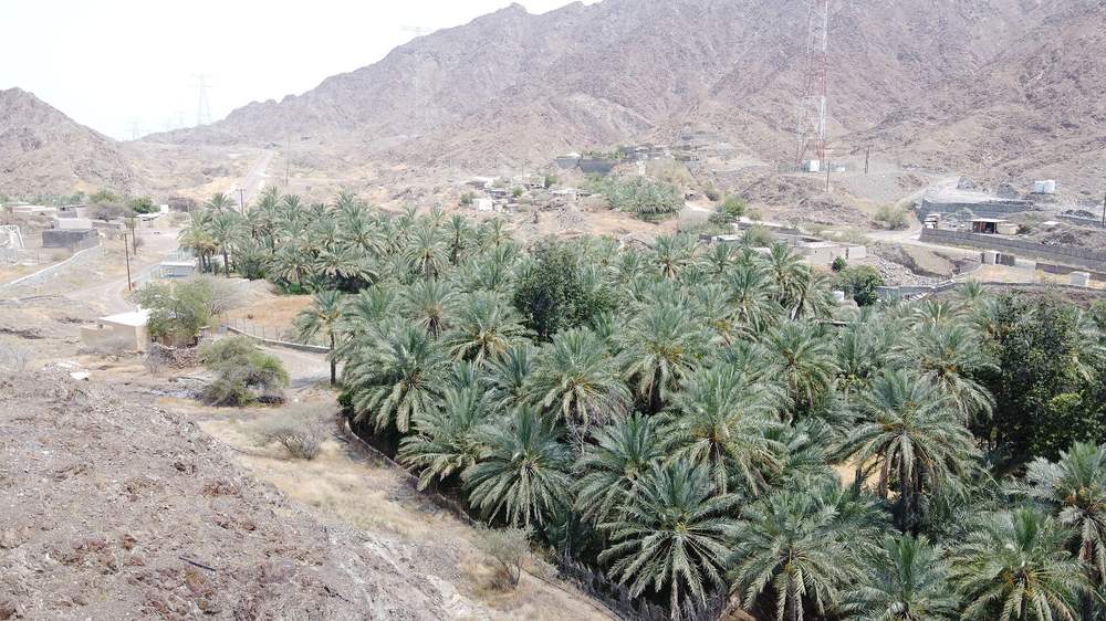 Wadi Maydaq — Wadi Maydaq.jpg