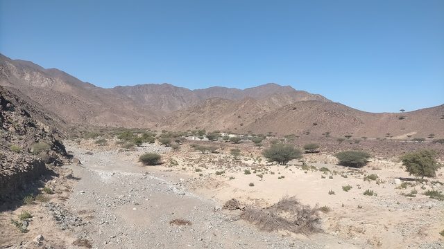 Wadi Mudayq