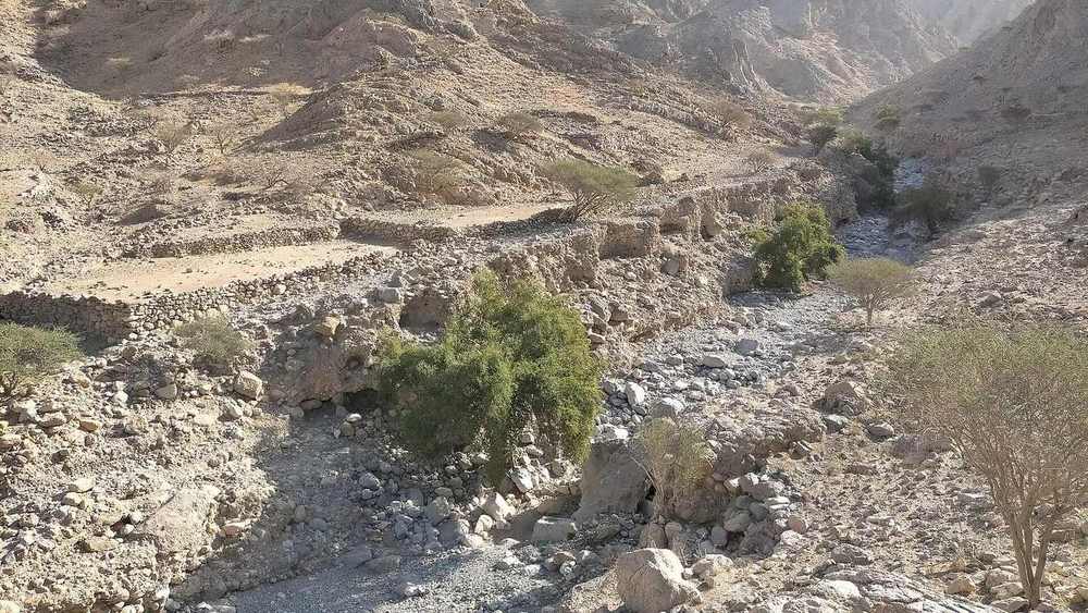 Wadi Nahela — Wadi Nahela - middle course.jpg