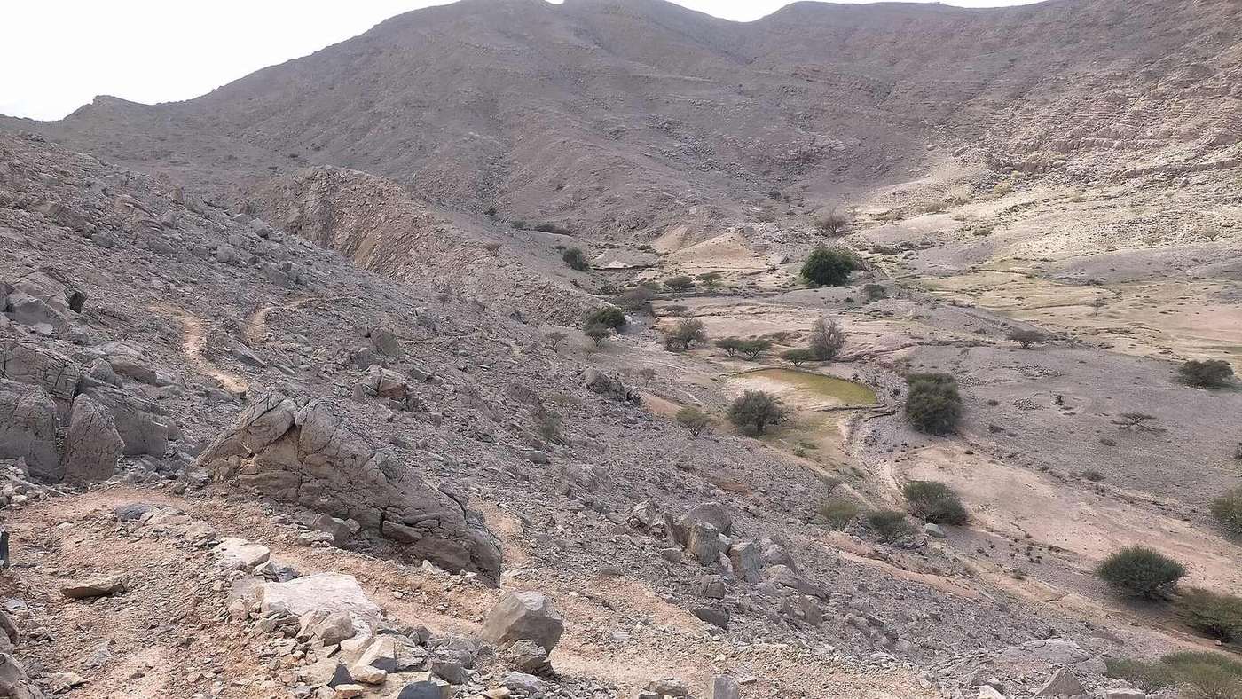 Wadi Naqat — Wadi Naqat - Tributary of Wadi Shah - Ras al Khaimah.jpg