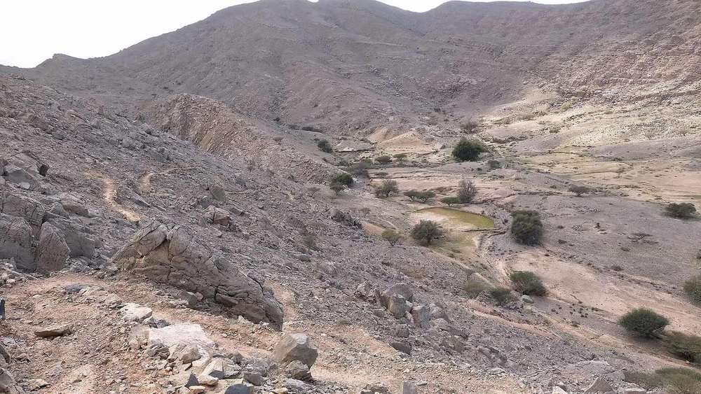 Wadi Naqat — Wadi Naqat - Tributary of Wadi Shah - Ras al Khaimah.jpg