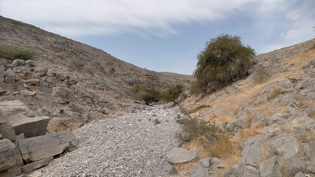 Wadi Sal
