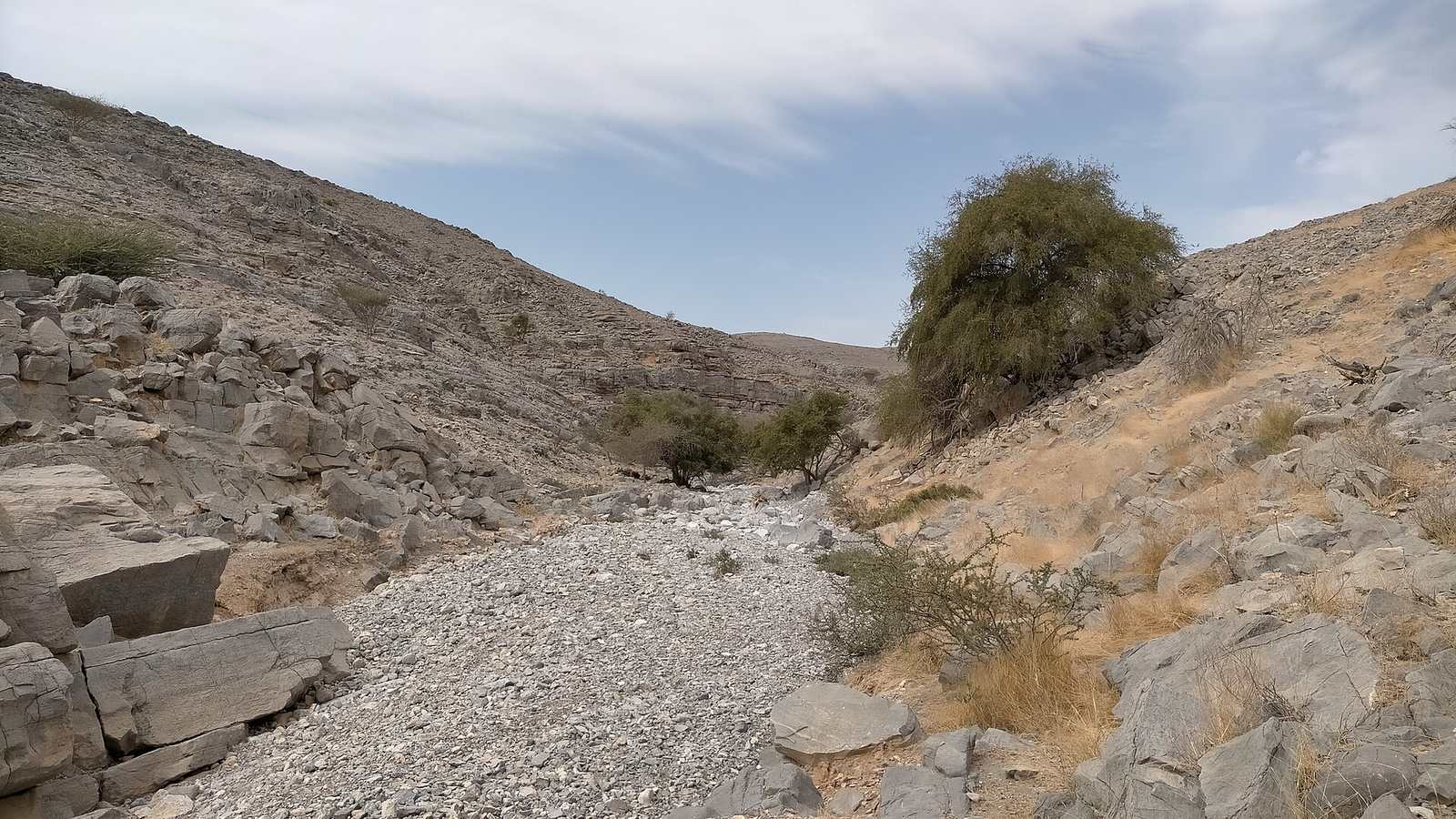 Wadi Sal — Wadi Sal at its exit from the Dirat as-Sal area, towards the northwest, towards the village of Dirat Sabah - 2.jpg