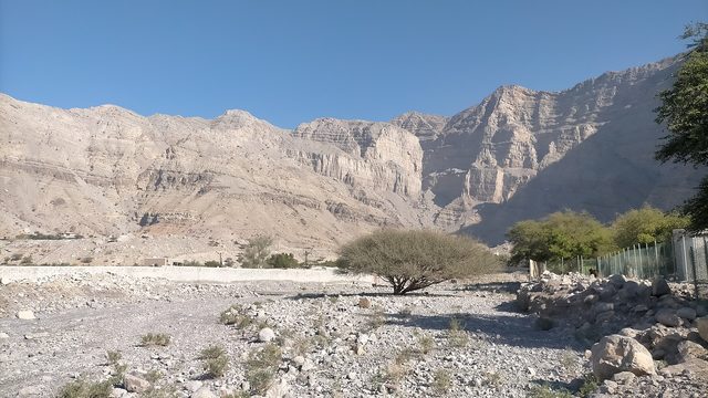 Wadi Sha'am