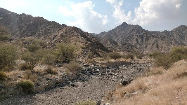 Wadi Sharm