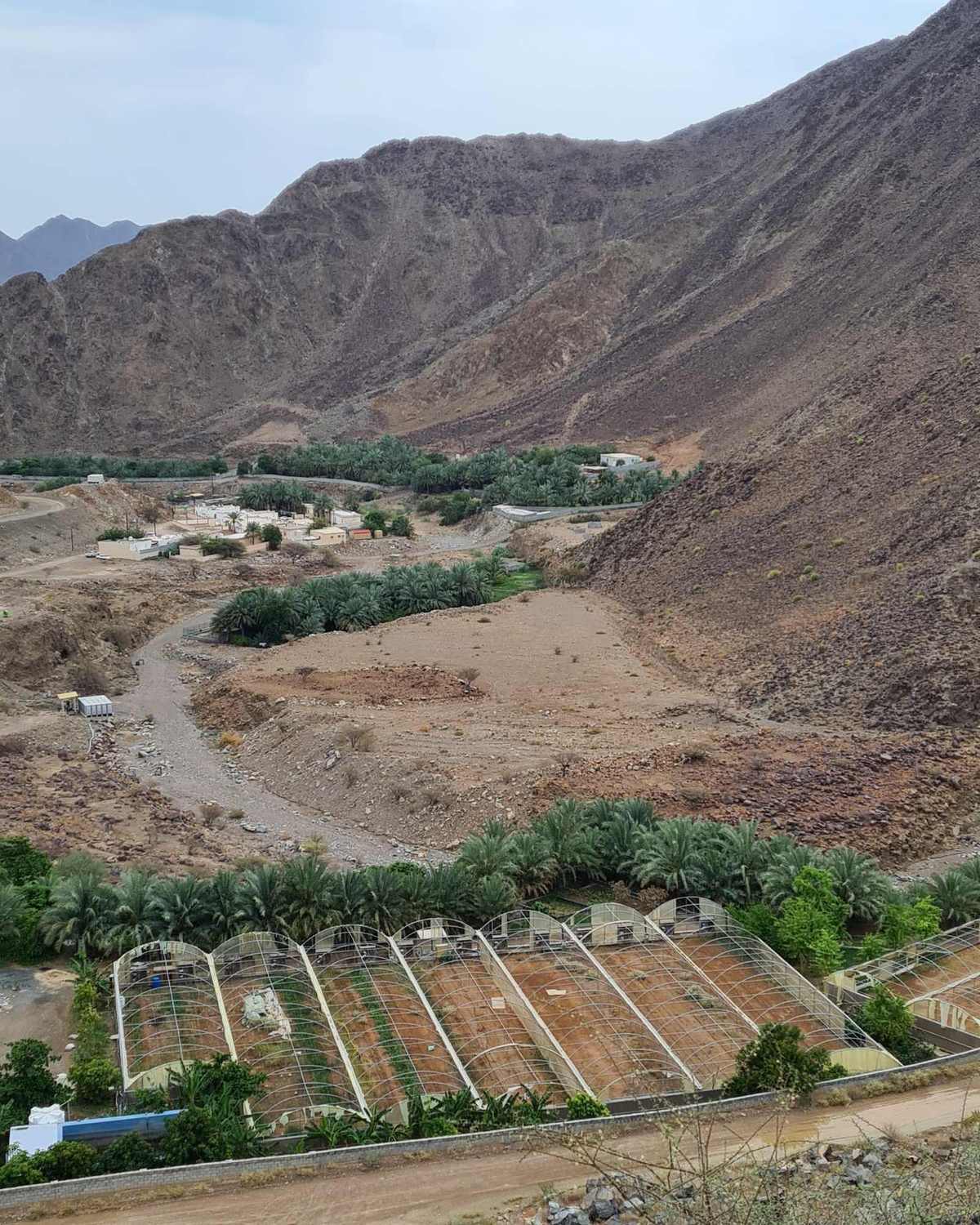 Wadi Shie — Wadi Shie.jpg