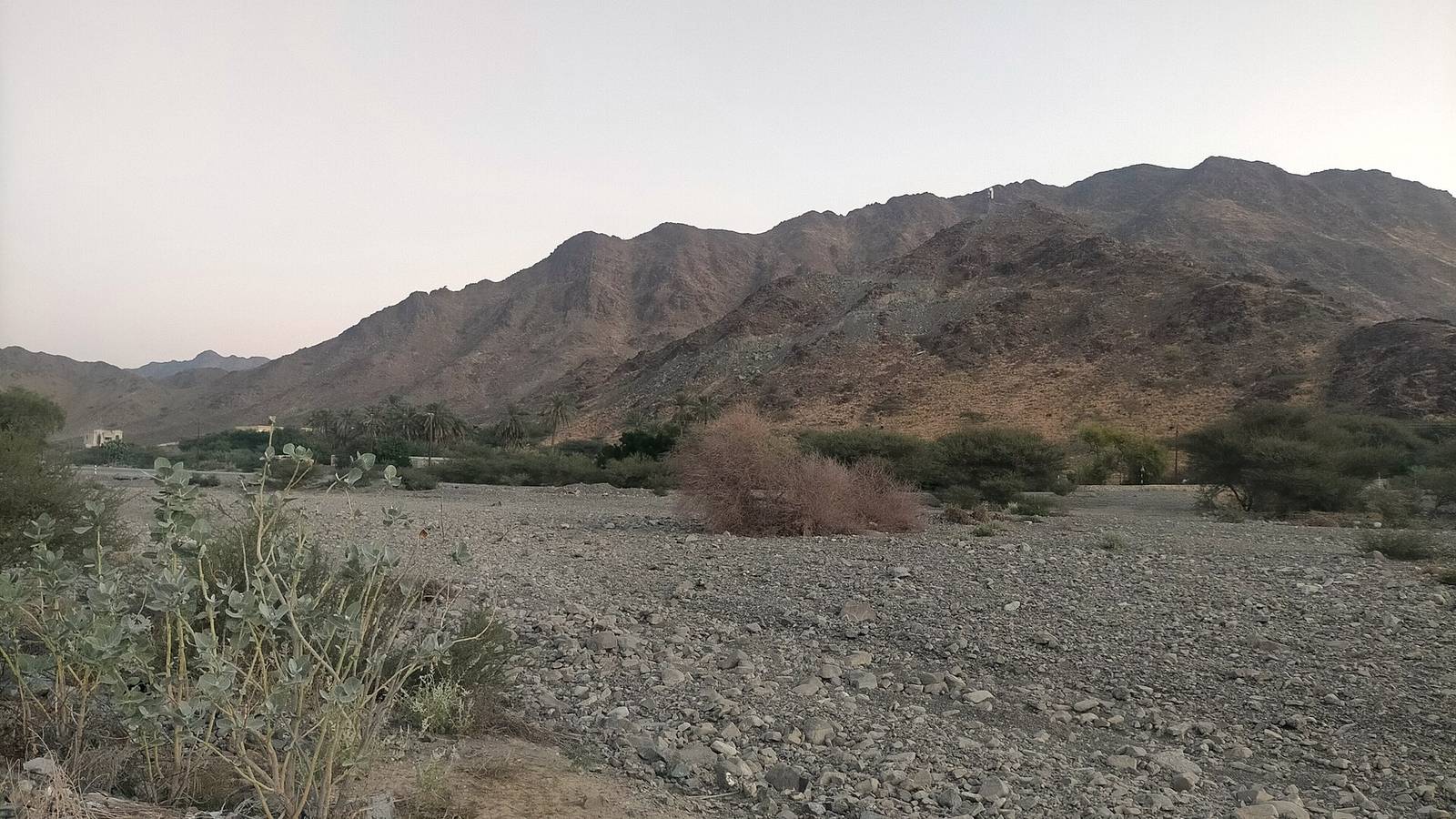 Wadi Tawah / Wadi Tuwa — Wadi Tuwa - Wadi Tawah - Tributary of Wadi Munay`i.jpg