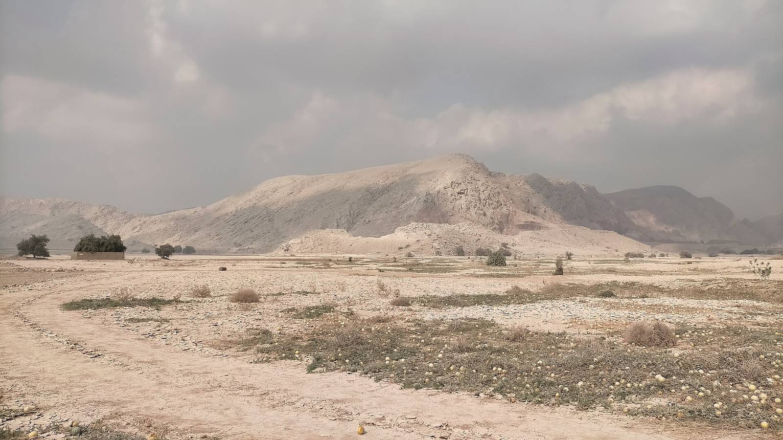 Wadi Tawiyean — Extensive reservoir of the Wadi Tawiyean Dam, occupying a large part of the Sayh Muruq alluvial plain.jpg
