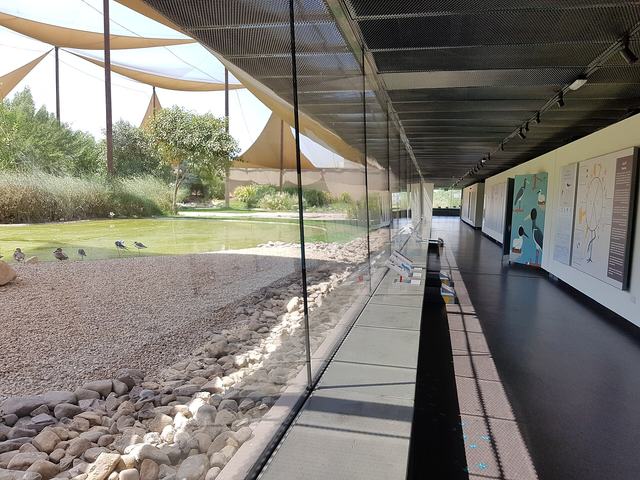 Wasit Wetland Centre