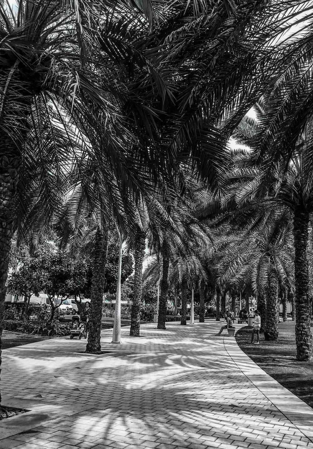 Za'Abeel Park — Zabeel park.jpg