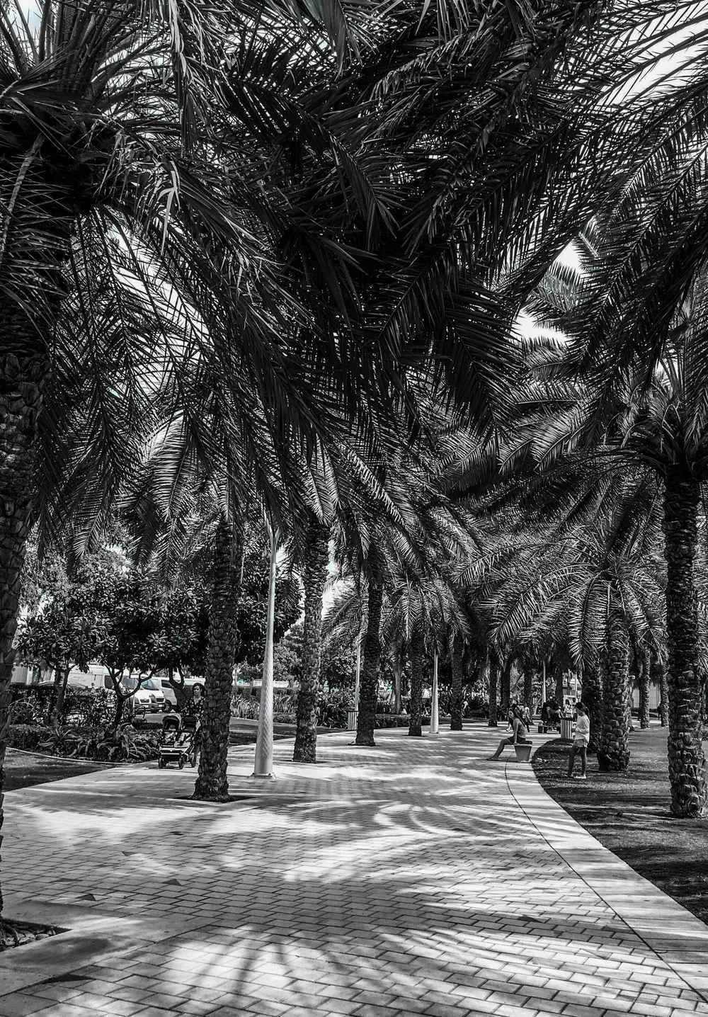 Zabeel Park — Zabeel park.jpg